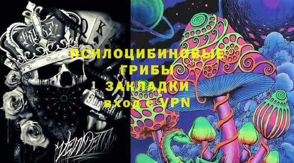 СК Алзамай