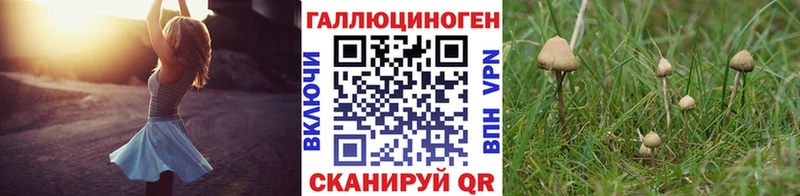 Галлюциногенные грибы Psilocybine cubensis  как найти наркотики  hydra   Выкса 